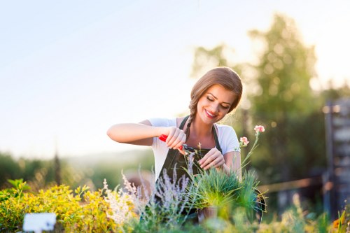 Professional garden clearance team in Wandsworth