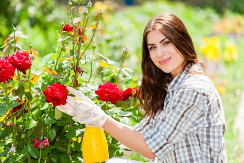 A woman with long brown hair, wearing a casual checked shirt and white gardening gloves, is tending to red flowering bushes in a lush garden. She is holding a yellow spray bottle and appears to be watering or caring for the plants amidst vibrant greenery and colorful blossoms. The garden is outdoors with a well-maintained lawn area, visible in the foreground, and a backdrop of trees and plants. Natural sunlight illuminates the scene, enhancing the vivid tones of the flowers and foliage. The garden layout includes the flower beds bordering the lawn, with a variety of plants and shrubs, indicative of a landscaped outdoor space typical of Wandsworth gardens. This scene exemplifies professional gardening maintenance consistent with services like hedge trimming, lawn care, and shrub pruning offered by local providers such as Hedge Trimming Wandsworth, contributing to a well-kept and aesthetically pleasing outdoor environment in SW18 or nearby areas.