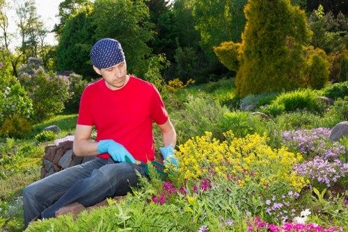 Clearing garden debris for a tidy outdoor space