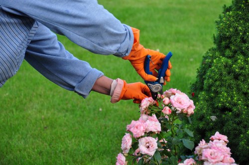 Seasonal hedge trimming in Wandsworth