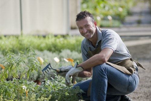 Garden professionals performing hedge trimming